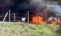 Düzce'de lastiği patlayan tır köprüden uçarak alev aldı