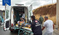 Elazığ'da Kamyonun Çarptığı Yaşlı Adam Yaralandı, Sürücü Kaçtı