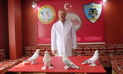 Emekli Astsubay, 40 Güvercini İçin 10 Bin TL Harcıyor: Erzurum'da Farklı Bir Yaşam Tarzı