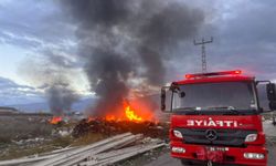 Erzincan'da çöp alanında çıkan yangın paniğe neden oldu