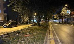 Eyüpsultan'da ağaç kesimi iddiaları sonrası İBB'ye tepki gösterildi