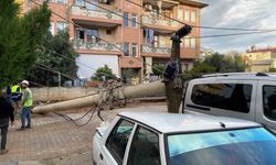 Gazipaşa'da devrilen elektrik direği otomobile saplandı