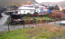 Gündüz saatlerinde Ölçek köyüne inen bozayı paniğe yol açtı