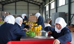 Gürsu Ovası'nda kadınların el emeğiyle doğal turşu üretimi başladı