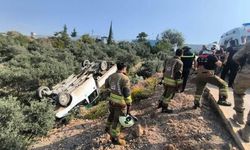 İskenderun'da zeytin bahçesine uçan kamyonetin sürücüsü yaralandı