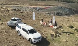 İslahiye'de Kınalı Keklikler Doğaya Salındı: Tarım Zararlılarıyla Mücadele İçin Yeni Bir Adım