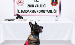 İzmir Urla'da Jandarmadan uyuşturucu ve silah operasyonu