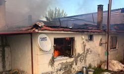 Karacasu'da Korkutan Yangın: Ev ve Hayvan Damı Kül Oldu
