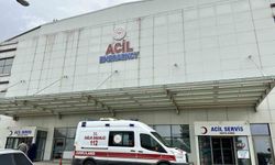 Kastamonu'da Mantar Tüketimi Sonrası 30 Kişi Hastanelik Oldu