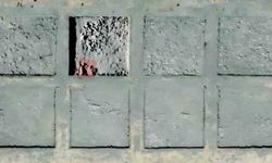 Kültepe'de 2 bin yıllık mozaik döşemeli yapı keşfedildi