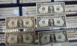 Kuriş Soruşturmasında FETÖ Bağlantısı: 1 Dolarlar Ele Geçirildi