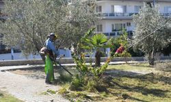 Kuşadası'nda Yeşil Alanlar Yenileniyor: Park ve Bahçelerde Büyük Bakım Çalışmaları