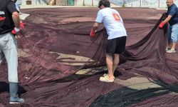 Marmara Denizi'nde 800 kilogram hayalet ağ temizleniyor