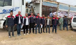 Mazıdağı'nda 167 çiftçiye 40 ton mercimek tohumu desteği