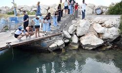 Mersin'de Biyolojik Çeşitlilik MINKA Projesi ile Kaydediliyor
