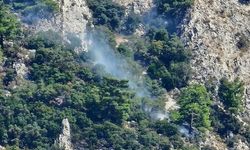 Muğla'da Makilik Alanda Yangın Hızla Kontrol Altına Alındı