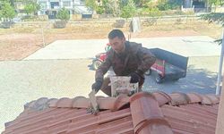 Muhtar, Okulun Çatı Onarımını Ücretsiz Üstlendi