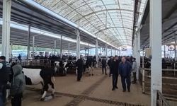 Nazilli Canlı Hayvan Pazarı'nda kaçak hayvanlara izin verilmedi