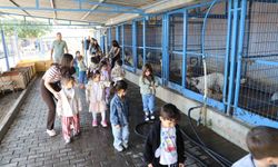 Nazilli'de Minik Öğrenciler Can Dostlarıyla Buluştu