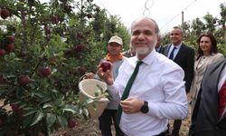 NÖHÜ Elma Bahçesi'nde Hasat Zamanı: 200 Ton Rekolte Bekleniyor