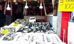 Rize'de Palamut Fiyatları Düşüşte: 3 Tanesi 100 TL!