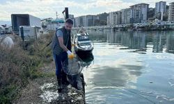 Rize'nin Pazar ilçesinde aşırı avlanma sonrası temizlik yapıldı