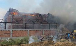 Samsun'da Kaynak Kıvılcımları Samanlığı Alevlere Teslim Etti
