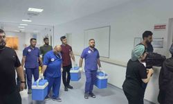 Şanlıurfa'da hayatını kaybeden 2 yaşındaki Emine'nin organları