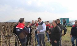 Selim'de 80 dönümlük tarlada ayçiçeği hasadı tamamlandı