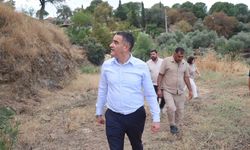 Şenköy Mahallesi'nde Yeni Düğün Salonu Projesi Hayata Geçiyor