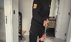 Siirt'te eve giren 1 buçuk metrelik yılan 3 saatte yakalandı