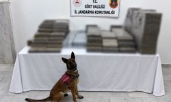 Siirt'te jandarma operasyonunda 10 bin 250 paket kaçak sigara ele geçirildi