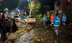 Şile'de Gece Boyu Şiddetli Yağışla Mücadele: Belediye Ekipleri Tüm Mahallelerde Aktifti