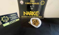 Şırnak'ta asayiş ve narkotik operasyonlarında 104 şüpheli yakalandı