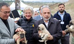 Talas Pati Evi'nde Hayvanları Koruma Günü Coşkuyla Kutlandı