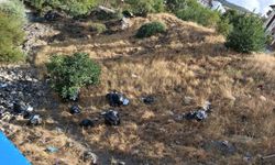 Tarihi Haburman Köprüsü Çevresindeki Çöp İstifleri Tepki Topladı