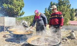 Toroslar'da Harnup Pekmezi Üretimi: Sahilden Yaylaya Uzanan Geleneksel Yaşam