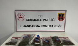 Uyuşturucu Tespiti: Narkotik Köpeği 'Evin' Bahçede Kenevir ve Esrar Buldu