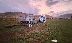 Van'da tırın şarampole yuvarlanması sonucu 2 kişi yaralandı