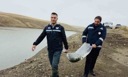 Van'ın Su Ürünleri Sektörü Ekonomiye 25 Milyon Dolar Katkı Sağlıyor