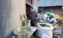 Zetrin Baharatı: 120 Bitkiden Oluşan Doğal Lezzet Yeniden Gündemde