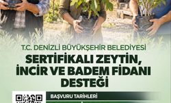 Zeytin, İncir ve Badem Fidanı Desteği İçin Son Başvuru Tarihi Yaklaşıyor