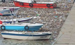 Zonguldak Limanı'nda yağış sonrası derelerden akan atıklar birikti