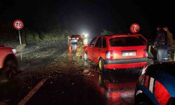 Zonguldak'ın Alaplı ilçesinde kaya düşmesi, iki otomobile zarar verdi