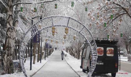 Erzurum'da soğuk havanın etkisiyle ağaçlar kırağı tuttu