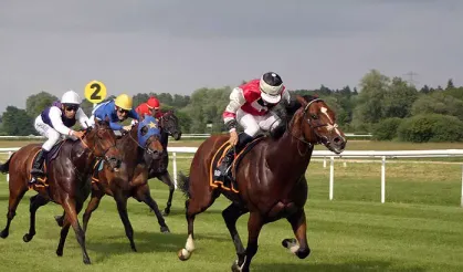 Aşevindeki Kavurmadan Mikroçip Çıktı: DNA Analizi Şampiyon Yarış Atı "Smart Latch"i İşaret Etti