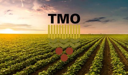 TMO Buğday ve arpa alım fiyatları açıklandı! “En az 20 lira olmalı” çağrısı