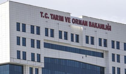 Tarım ve Orman Bakanlığı 1.874 personel alacak: Başvurular ne zaman başlayacak?