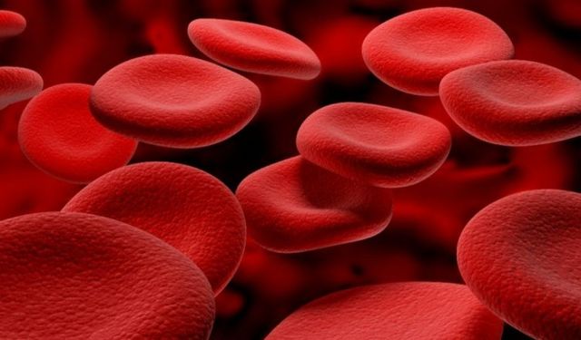 Kana Kırmızı Rengini Veren Nedir? Kanımız Neden Kırmızıdır?