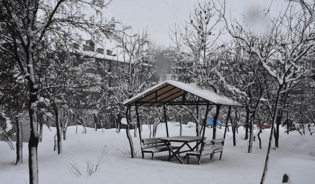 Bitlis’te okullara kar tatili (2)